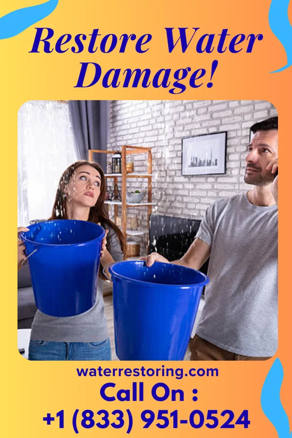 water restoration Expert Water Repair Authority Evansville