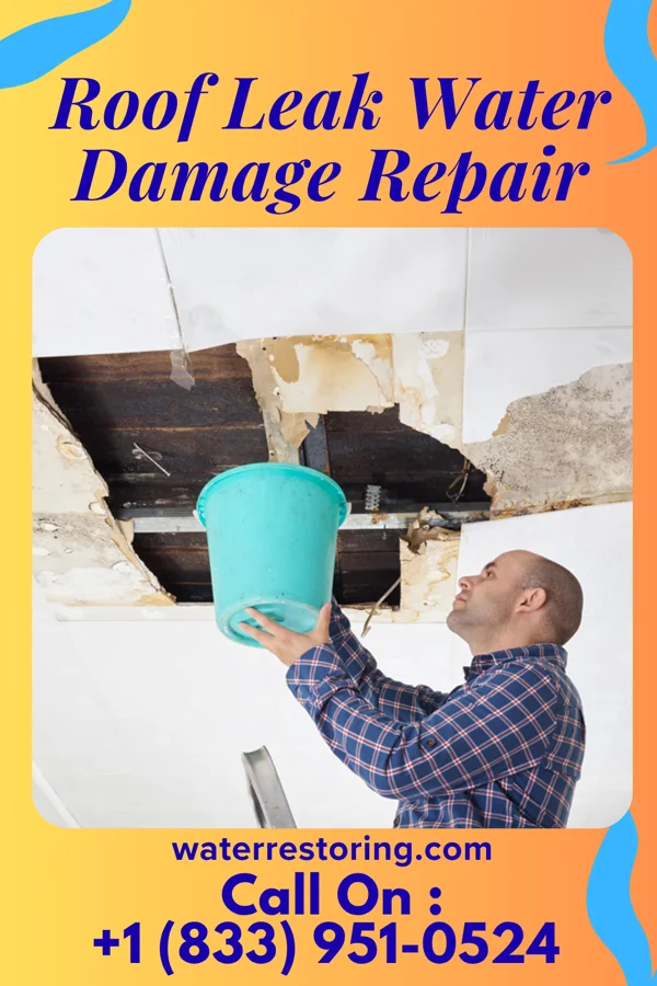 Roof Leak Water Damage Repair in Evansville, IN
